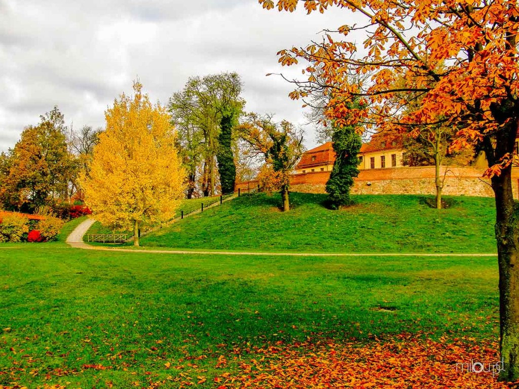 Fotoideen für den Herbst - Laubbaeume