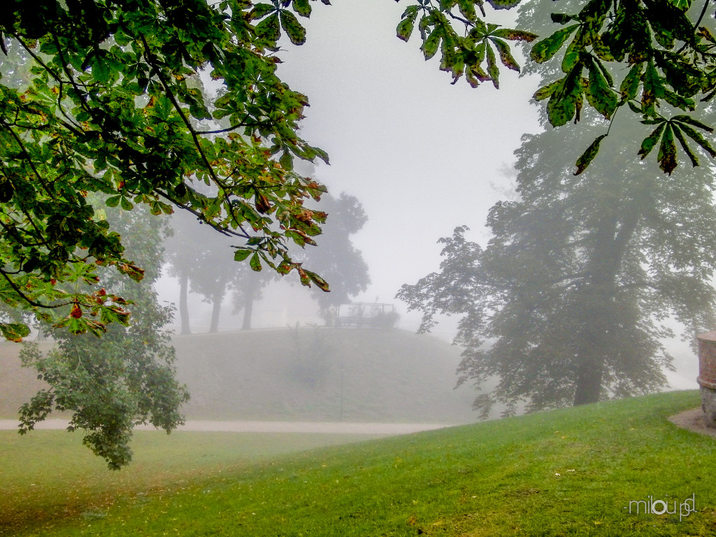Fotografieren im Herbst - Nebel