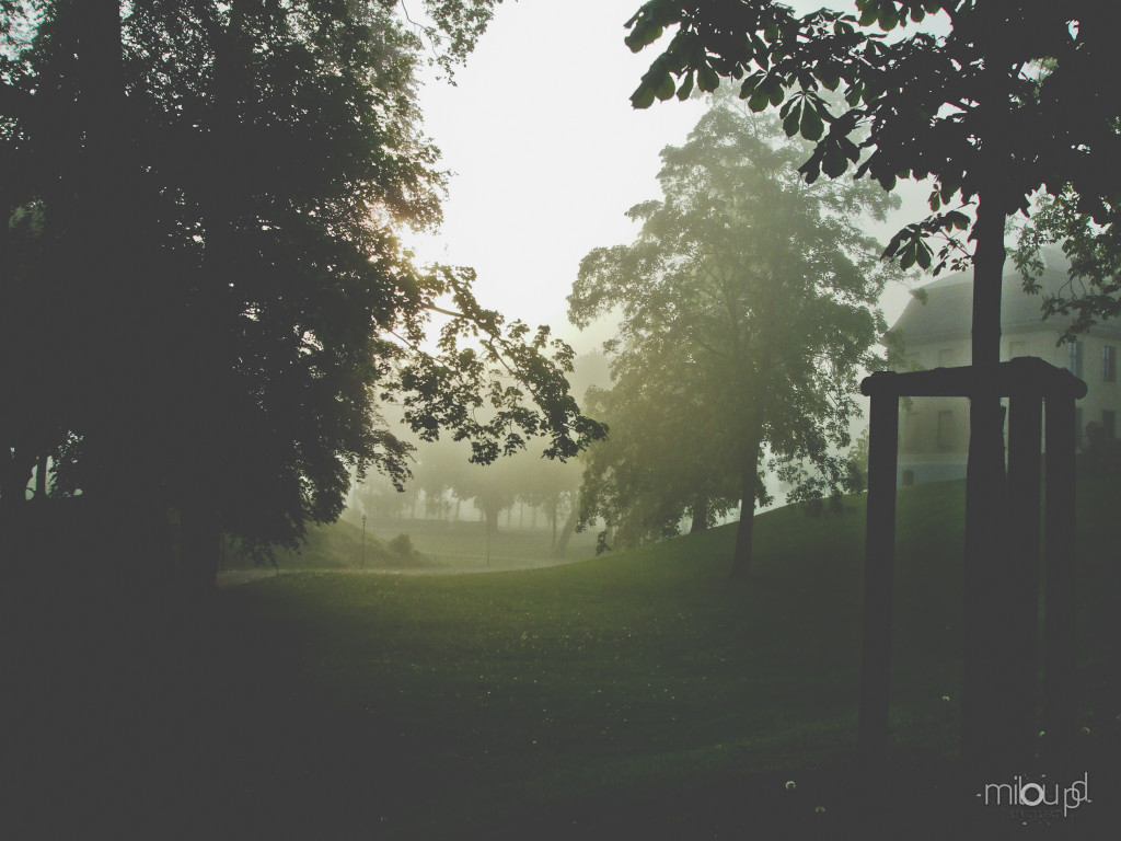 Fotografieren im Herbst - Nebel