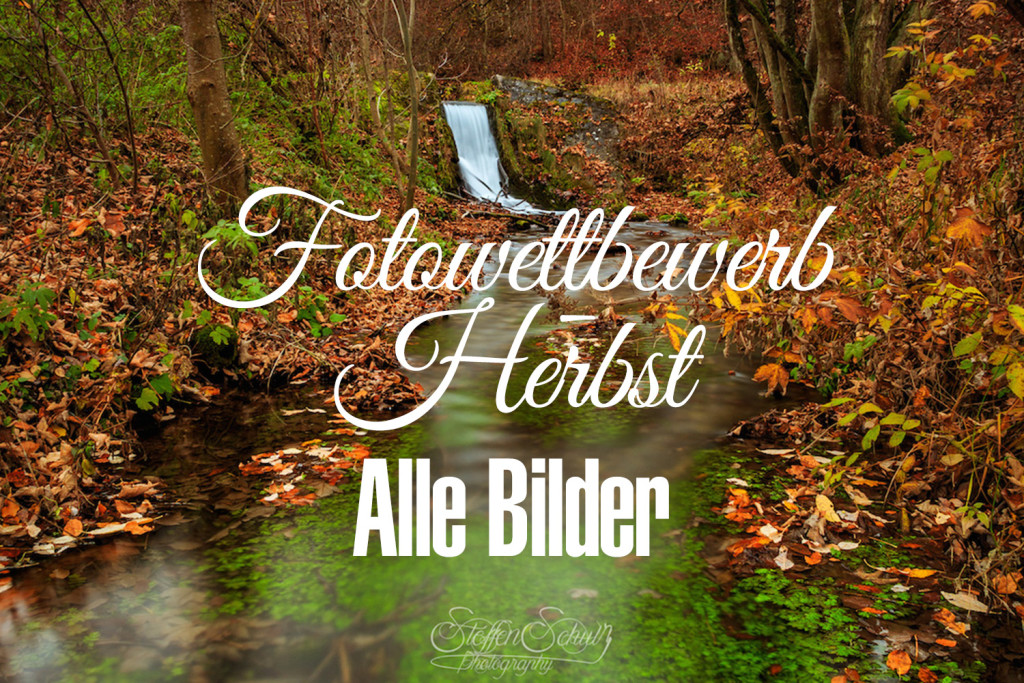 Bildergalerie - Herbst - 2015