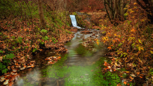 Herbst - Fotowettbewerb -Waterfall in autumn-Stefan106